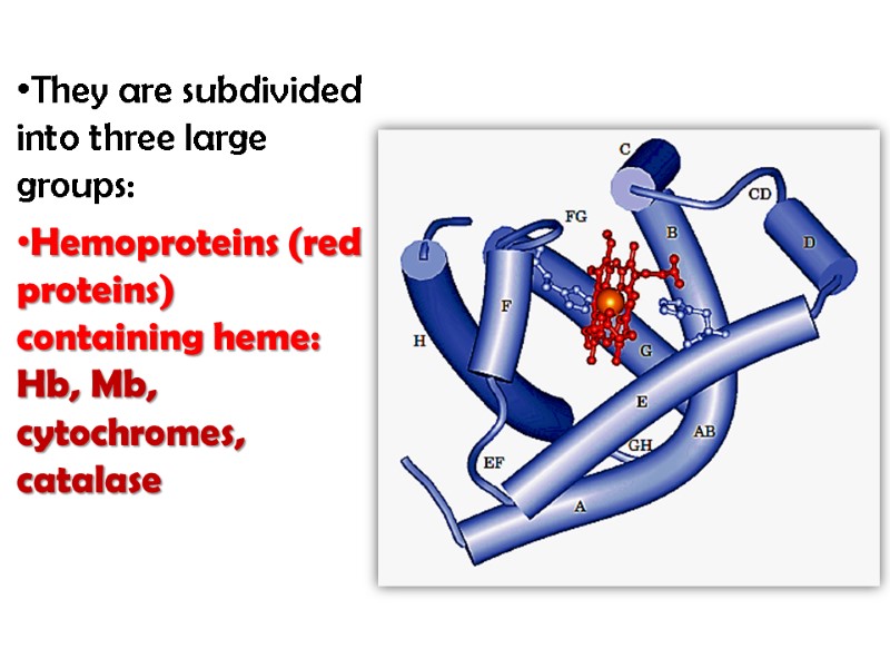 They are subdivided into three large groups: Hemoproteins (red proteins) containing heme: Hb, Mb,